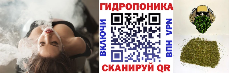 Цена Губкин ГАШ АМФ Меф мяу мяу Конопля СК