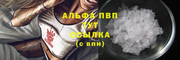 крисы Алексин
