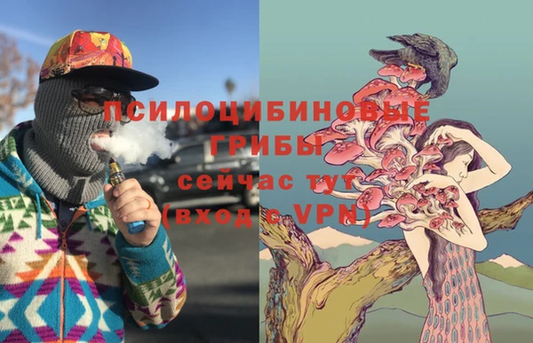 соль ск Алзамай