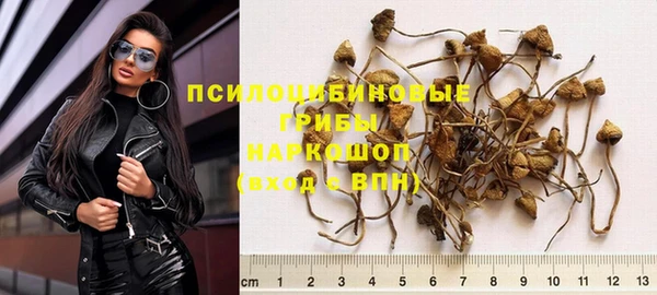 крисы Алексин