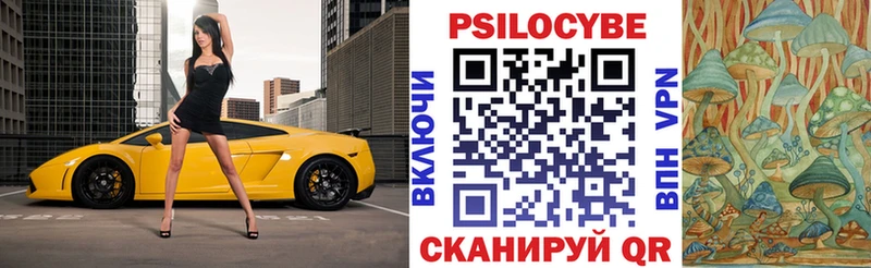 Псилоцибиновые грибы мицелий  купить наркоту  Губкин 